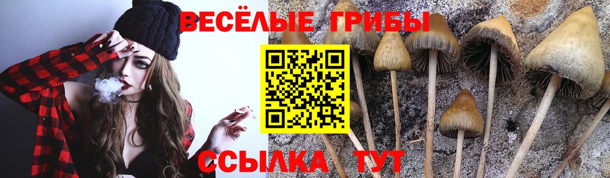 Псилоцибиновые грибы Psilocybine cubensis Кирово-Чепецк