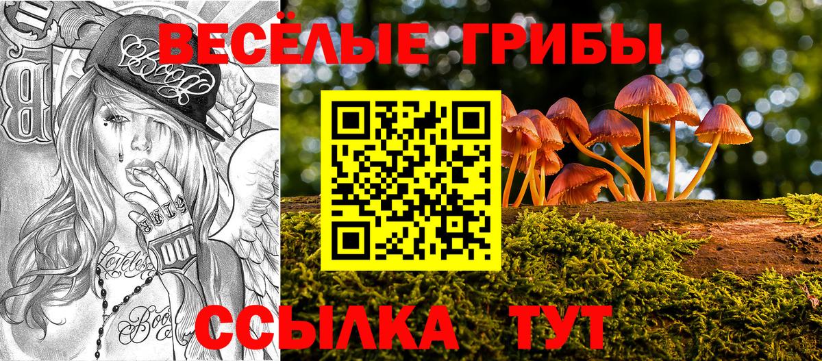 Псилоцибиновые грибы Psilocybine cubensis Кирово-Чепецк